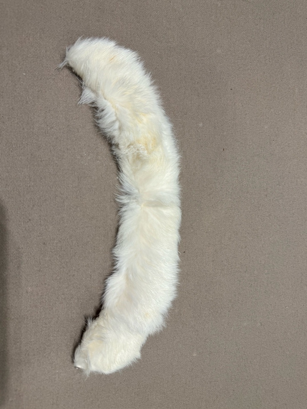 Antique rabbit Fur White Collar Accent - Soft Cream Neck Warmer